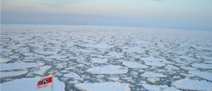 おーろら 流氷
