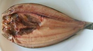 ホッケ2