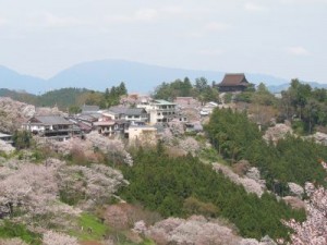 春の奈良県吉野山