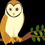 コウノトリ-フクロウ