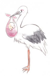 コウノトリ2