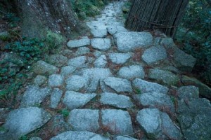 パワースポット-熊野古道