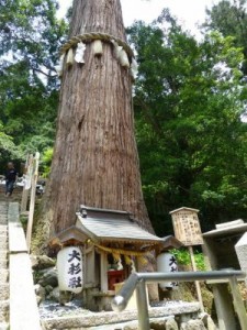 パワースポット-鞍馬山 大杉社