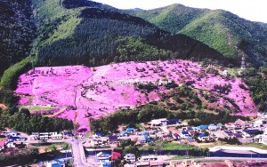 滝上町観光協会http://takinoue.com/?shiba 