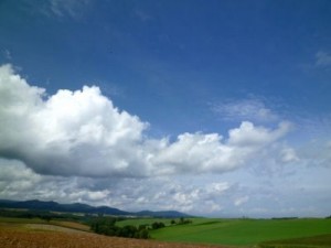 美瑛の風景1