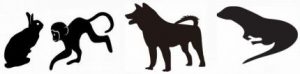 ウサギとサルと山イヌとカワウソ