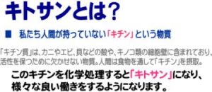きのこ2