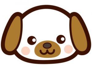 はじめて猫を飼1