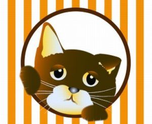 はじめて猫を飼3