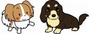 犬の健康診断1