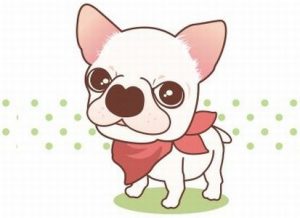 犬の健康診断3