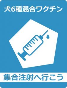 犬の健康診断4
