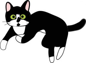 白黒猫2