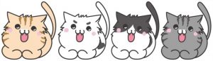 ネコ_ごきげん_白