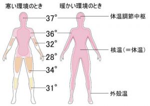 %e4%b8%ad%e6%9e%a2%e6%b8%a9%e5%ba%a6