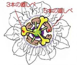 %e5%8f%97%e7%b2%89