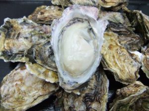 生牡蠣