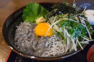 鎌倉(左阿彌-生しらす丼)