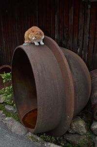 使わなくなった五右衛門風呂