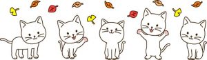 ５匹の子猫2