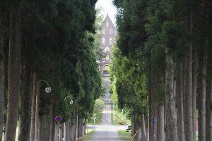 トラピスト修道院-杉とポプラ並木