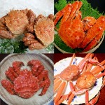 毛ガニとズワイガニとタラバガニと花咲ガニを安くおいしく食べる
