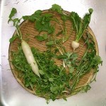 １月７日は「七草の節句」疲れたお腹に七草粥を食べよう