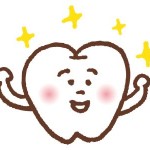 だいじな歯 食べた後は正しく磨いて守りましょう