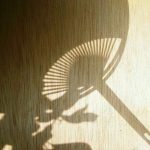 暑い夏 「涼しいうちわ」って知ってますか！