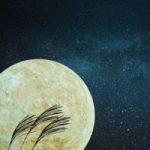 昔話「月の中のウサギ」と「お月さまに行ったウサギ」