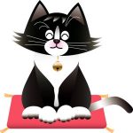 ２代目猫ちゃんは靴下を履いた白黒猫