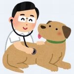 犬の主治医探しと健康　