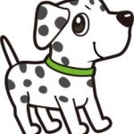 ありがとう 愛犬を看取った経験
