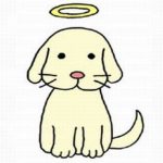 ペットロスを乗り越えるには この方法で