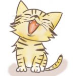 寝るときは猫ちゃんと みんな一緒♡みんな仲良し♡