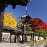 京都観光はレンタサイクルでの移動がおススメです