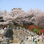 北区王子に住んでいた小学生時代の思い出