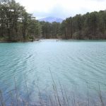 東北旅行 母との思い出の旅