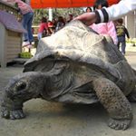 動物と遊ぼぅ 渋川動物公園
