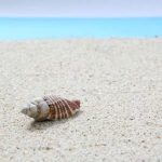 何度行っても飽きない 南紀白浜の魅力