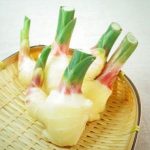 生姜(しょうが)の種類と食べ方 その保存方法